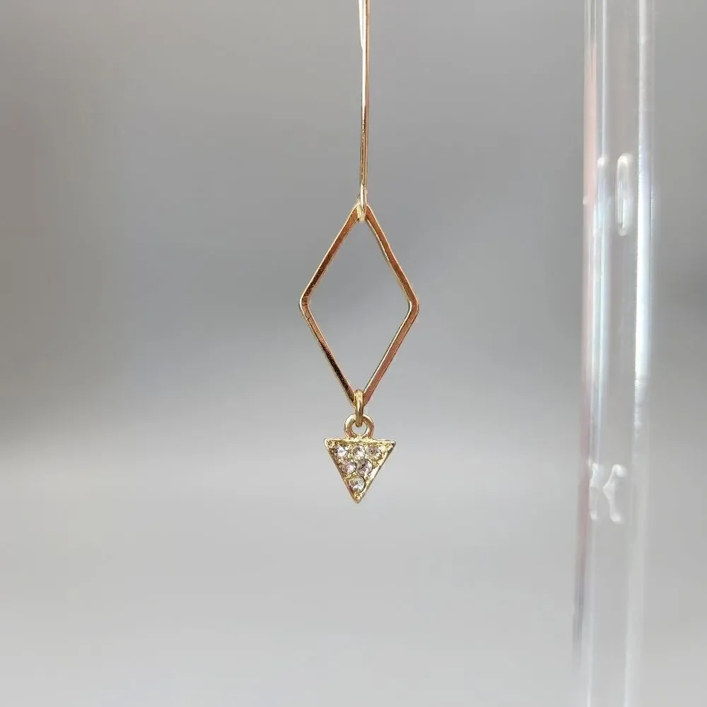 Fashion earrings